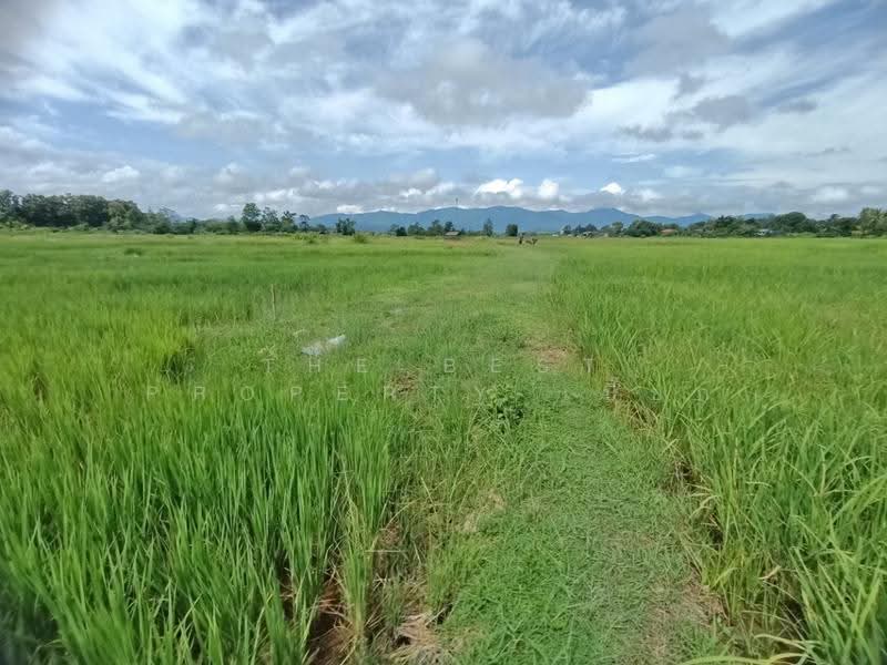 ที่ดินไชยสถาน น่าน, น่าน, ไชยสถาน, เมืองน่าน, น่าน, 1,200 ตร.ม., ที่ดิน ขาย, โดย The Best Property เปี๊ยก, 500571996 - DDproperty.com