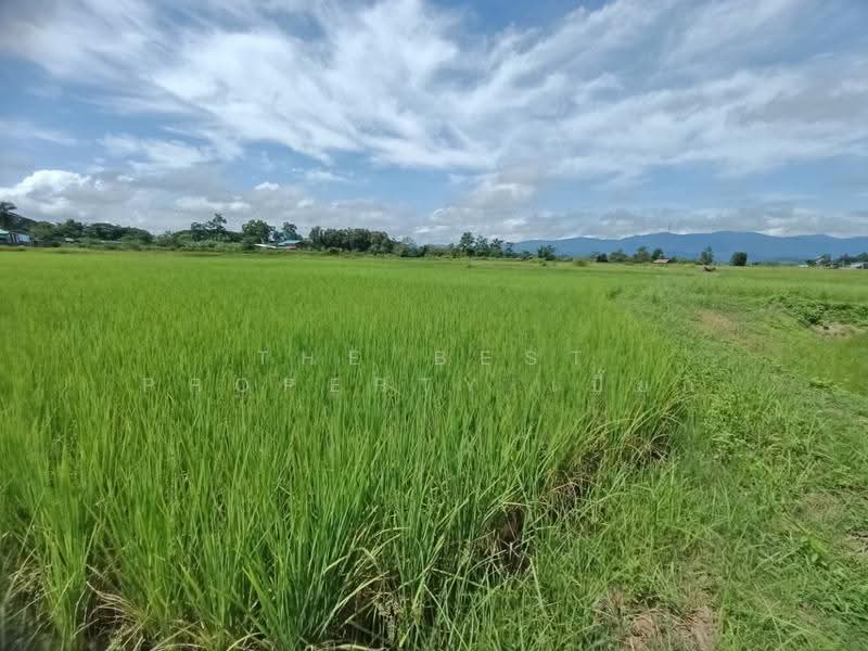 ที่ดินไชยสถาน น่าน, nan, Chaiya Sathan, Muang Nan, Nan, , 1,200 sqm, Land For Sale, by The Best Property เปี๊ยก, 500571996 - DDproperty.com