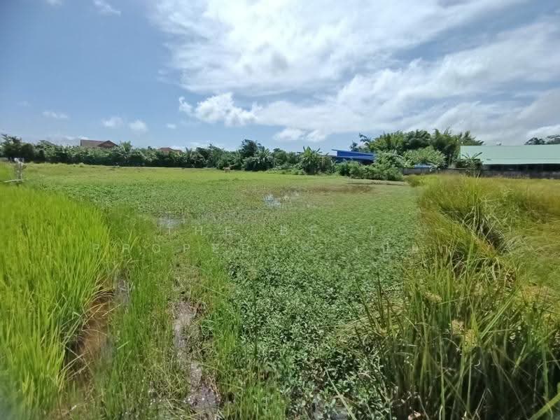 ที่ดินไชยสถาน น่าน, nan, Chaiya Sathan, Muang Nan, Nan, , 1,200 sqm, Land For Sale, by The Best Property เปี๊ยก, 500571996 - DDproperty.com