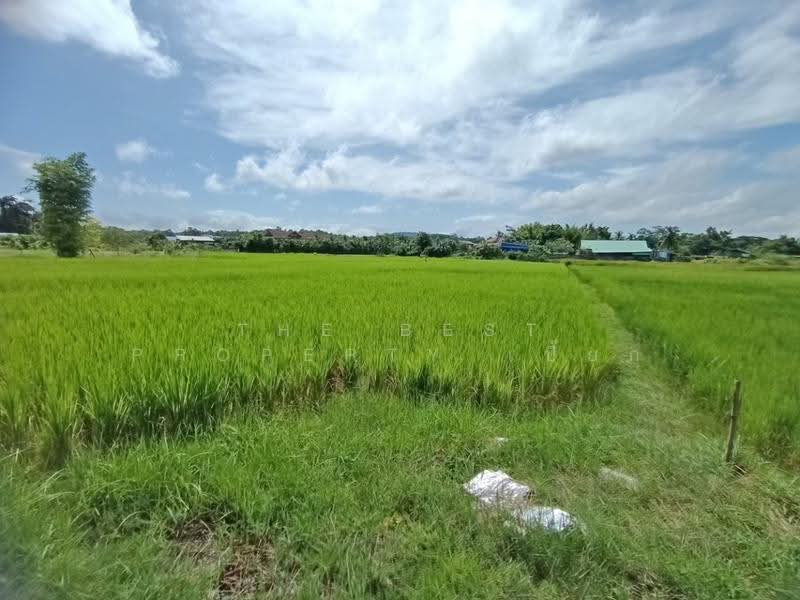 ที่ดินไชยสถาน น่าน, nan, Chaiya Sathan, Muang Nan, Nan, , 1,200 sqm, Land For Sale, by The Best Property เปี๊ยก, 500571996 - DDproperty.com
