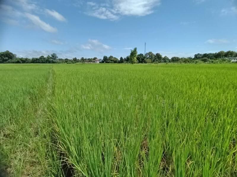 ที่ดินไชยสถาน น่าน, น่าน, ไชยสถาน, เมืองน่าน, น่าน, 1,200 ตร.ม., ที่ดิน ขาย, โดย The Best Property เปี๊ยก, 500571996 - DDproperty.com