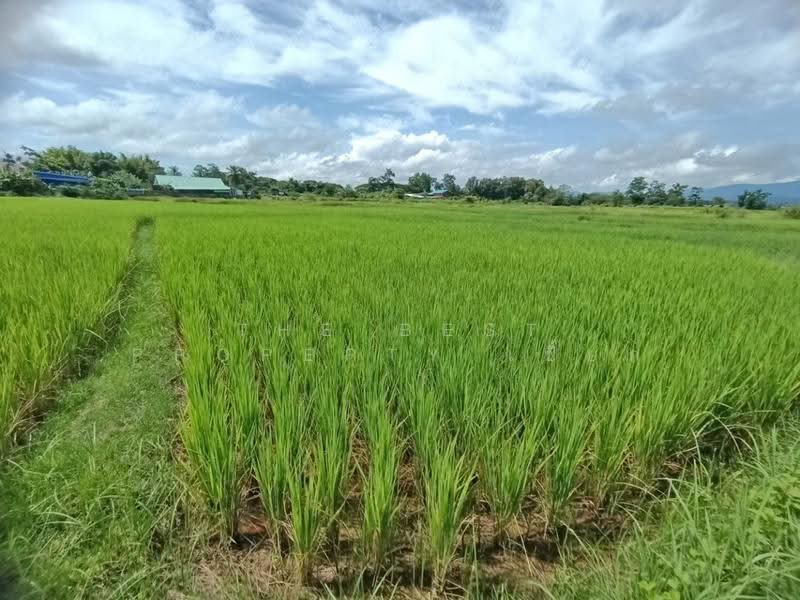 ที่ดินไชยสถาน น่าน, nan, Chaiya Sathan, Muang Nan, Nan, , 1,200 sqm, Land For Sale, by The Best Property เปี๊ยก, 500571996 - DDproperty.com
