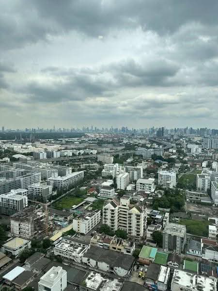 Skyrise Avenue Sukhumvit 64 : สกายไลน์ อเวนิว สุขุมวิท 64, กรุงเทพ, 3 ถนนสุขุมวิท 64, บางจาก, พระโขนง, กรุงเทพ, 33 ตร.ม., คอนโด ให้เช่า, โดย Pasupit Ditbanjong, 500572022 - DDproperty.com