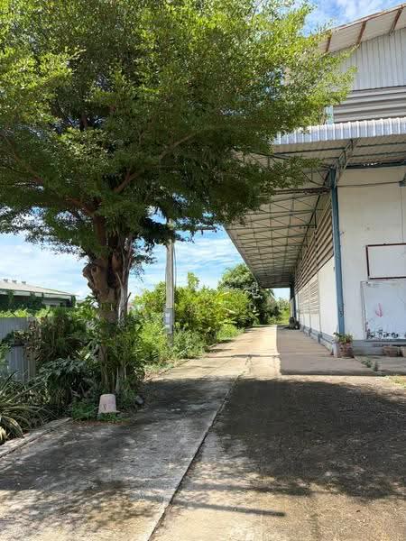 อ.กระทุ่มแบน จ.สมุทรสาคร, samut-sakhon, Don Ki Di, Krathum Baen, Samut Sakhon, , 2,500 sqm, Warehouse/Factory For Sale, by ดลหทัย เจริญรักษ์, 500572039 - DDproperty.com