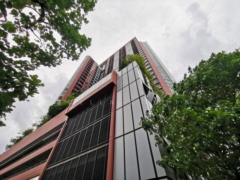 Wyne Sukhumvit, Bangkok, 1120 Sukhumvit Road, Phra Kanong, Khlong Toei, Bangkok, 1 Bedroom, 31 sqm, Condo For Rent, by Marcella Contini, 500572128 - DDproperty.com