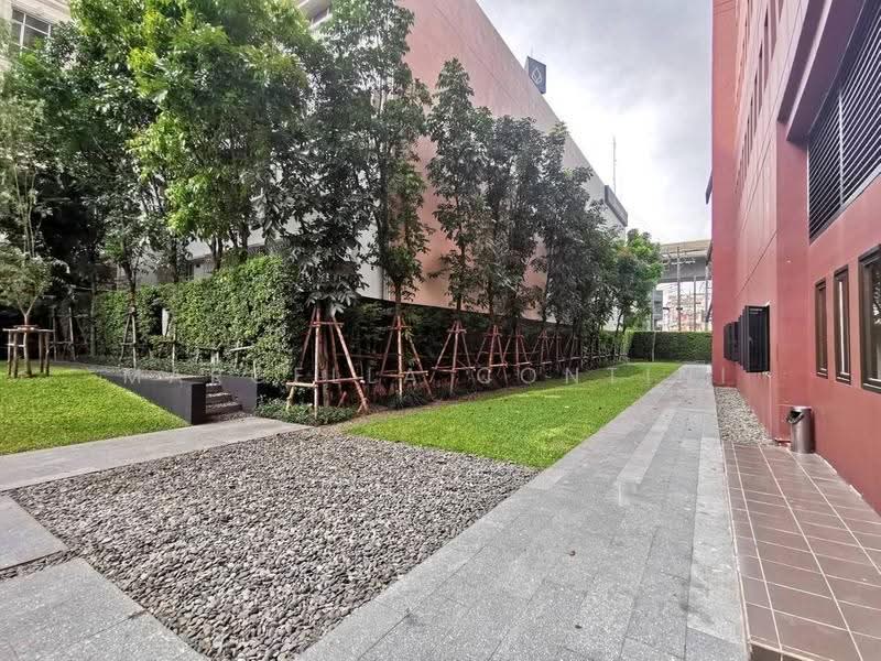 Wyne Sukhumvit, Bangkok, 1120 Sukhumvit Road, Phra Kanong, Khlong Toei, Bangkok, 1 Bedroom, 31 sqm, Condo For Rent, by Marcella Contini, 500572128 - DDproperty.com