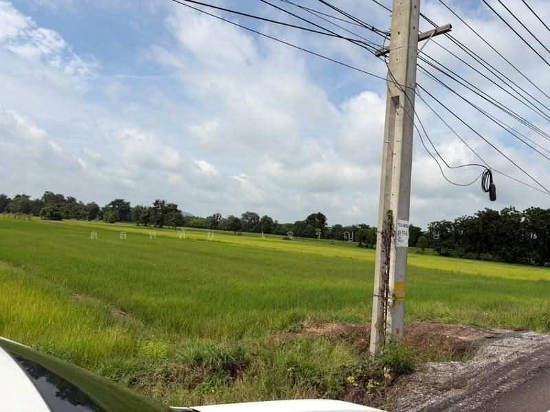 อ.ท่าตะโก จ.นครสวรรค์, นครสวรรค์, 3004, ดอนคา, ท่าตะโก, นครสวรรค์, 26,876 ตร.ม., ที่ดิน ขาย, โดย ดลหทัย เจริญรักษ์, 500572148 - DDproperty.com