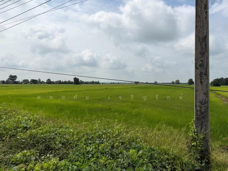 อ.ท่าตะโก จ.นครสวรรค์, นครสวรรค์, 3004, ดอนคา, ท่าตะโก, นครสวรรค์, 26,876 ตร.ม., ที่ดิน ขาย, โดย ดลหทัย เจริญรักษ์, 500572148 - DDproperty.com