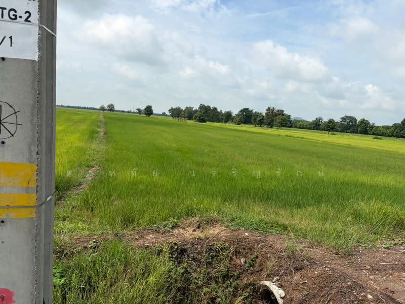 อ.ท่าตะโก จ.นครสวรรค์, nakhon-sawan, 3004, Don Ka, Tha Tako, Nakhon Sawan, , 26,876 sqm, Land For Sale, by ดลหทัย เจริญรักษ์, 500572148 - DDproperty.com