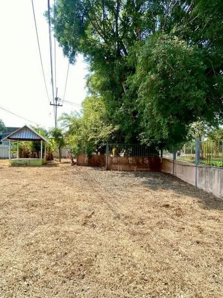 บ้านเดี่ยวโพธิ์ทอง อ่างทอง, Ang Thong, Ongkharak, Pho Thong, Ang Thong, 2 Bedrooms, 150 sqm, Single Detached House For Sale, by The Best Property  นก, 500572227 - DDproperty.com