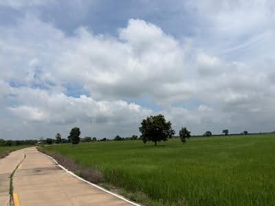 ขาย - อ.ไพศาลี จ.นครสวรรค์, นครสวรรค์
