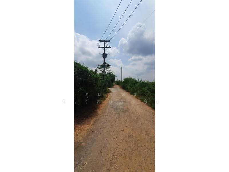 Beautiful land for sale in Lam Luk Ka, Khlong 12, Pathum Thani, pathum-thani, Lam Sai, Lam Luk Ka, Pathum Thani, , 26,690 sqm, Land For Sale, by อุมาพร นิเวศบวรชัย, 500572270 - DDproperty.com