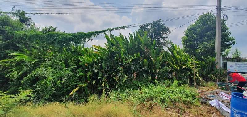 Beautiful land for sale in Lam Luk Ka, Khlong 12, Pathum Thani, pathum-thani, Lam Sai, Lam Luk Ka, Pathum Thani, , 26,690 sqm, Land For Sale, by อุมาพร นิเวศบวรชัย, 500572270 - DDproperty.com