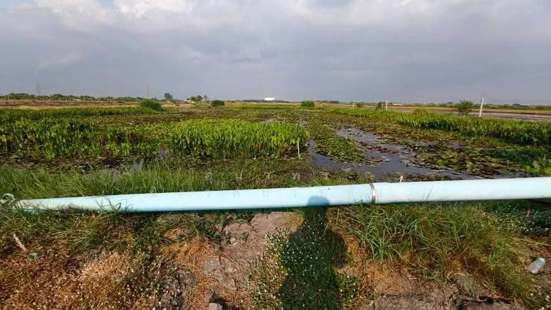 Beautiful land for sale in Lam Luk Ka, Khlong 12, Pathum Thani, pathum-thani, Lam Sai, Lam Luk Ka, Pathum Thani, , 26,690 sqm, Land For Sale, by อุมาพร นิเวศบวรชัย, 500572270 - DDproperty.com