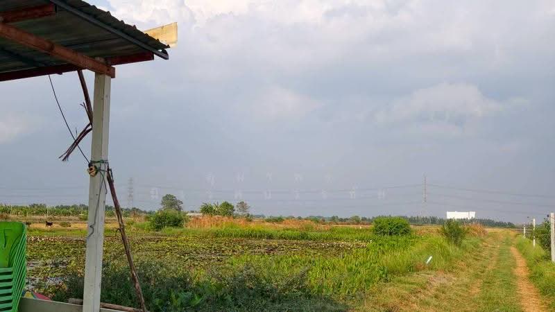 ที่ดินสวยลำลูกกาคลอง12 ปทุมธานี, ปทุมธานี, ลำไทร, ลำลูกกา, ปทุมธานี, 26,690 ตร.ม., ที่ดิน ขาย, โดย อุมาพร นิเวศบวรชัย, 500572270 - DDproperty.com