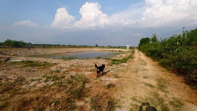 Beautiful land for sale in Lam Luk Ka, Khlong 12, Pathum Thani, pathum-thani, Lam Sai, Lam Luk Ka, Pathum Thani, , 26,690 sqm, Land For Sale, by อุมาพร นิเวศบวรชัย, 500572270 - DDproperty.com
