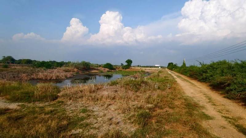 ที่ดินสวยลำลูกกาคลอง12 ปทุมธานี, ปทุมธานี, ลำไทร, ลำลูกกา, ปทุมธานี, 26,690 ตร.ม., ที่ดิน ขาย, โดย อุมาพร นิเวศบวรชัย, 500572270 - DDproperty.com