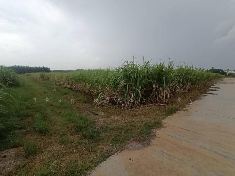 บ้านไม้แก่น, Chon Buri (Pattaya), Khlong Kiu, Ban Bung, Chon Buri (Pattaya), , 14,496 sqm, Land For Sale, by WISIT SRIPRASERT, 500572279 - DDproperty.com