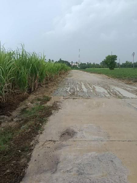 บ้านไม้แก่น, Chon Buri (Pattaya), Khlong Kiu, Ban Bung, Chon Buri (Pattaya), , 14,496 sqm, Land For Sale, by WISIT SRIPRASERT, 500572279 - DDproperty.com