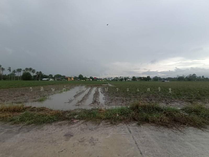 บ้านไม้แก่น, Chon Buri (Pattaya), Khlong Kiu, Ban Bung, Chon Buri (Pattaya), , 14,496 sqm, Land For Sale, by WISIT SRIPRASERT, 500572279 - DDproperty.com