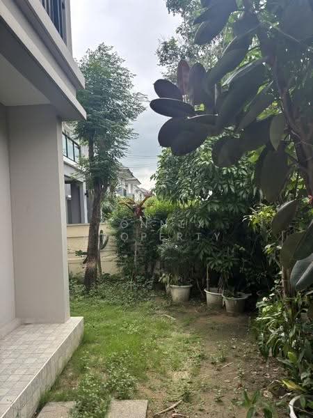 The Plant Pinklao-Kanjanaphisek, Nonthaburi, Sala Klang, Bang Kruai, Nonthaburi, 3 Bedrooms, 21 sqm, Single Detached House For Sale, by Connex Property, 500572334 - DDproperty.com