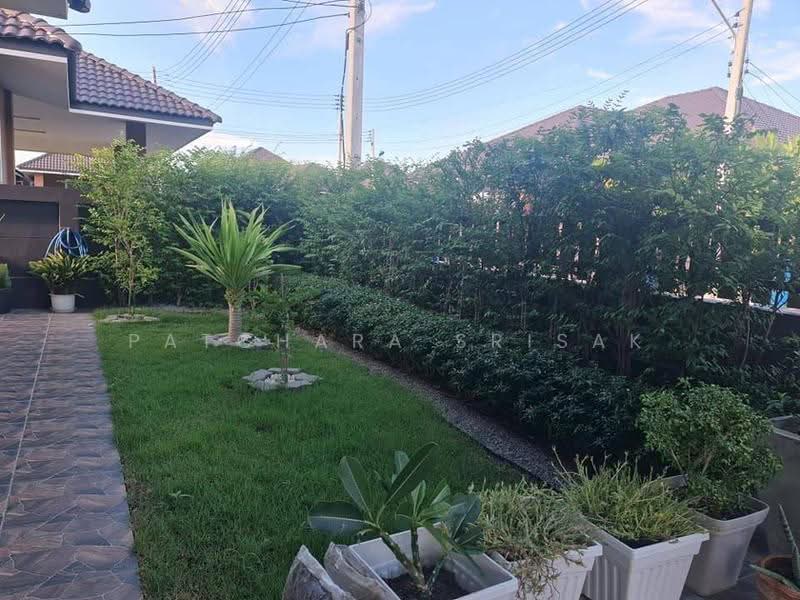 3-BR House, Prachuap Khiri Khan, Wang-Pong, Pran Buri, Prachuap Khiri Khan, 3 Bedrooms, 150 sqm, Single Detached House For Rent, by Patchara Srisak, 500572402 - DDproperty.com