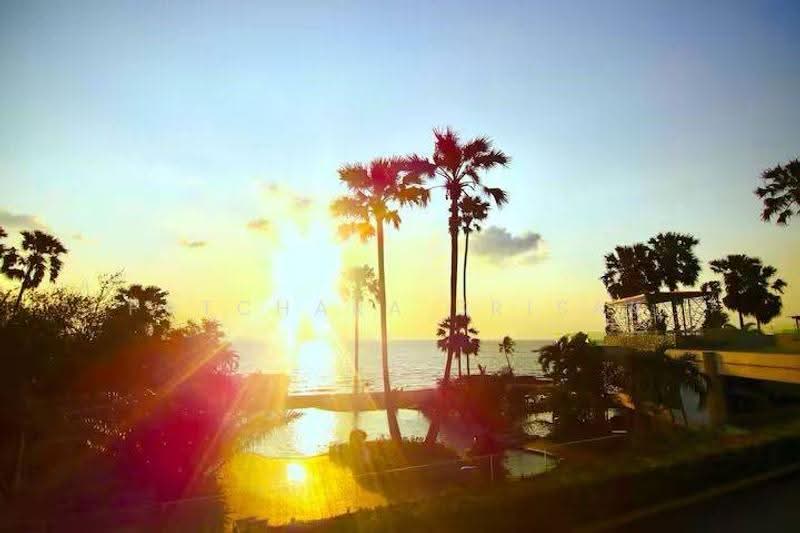 The Palm Wongamat Beach, Chon Buri (Pattaya), Soi Naklua 16, Na Kloe, Bang Lamung (Pattaya), Chon Buri (Pattaya), 1 Bedroom, 34 sqm, Condo For Rent, by Patchara Srisak, 500572461 - DDproperty.com