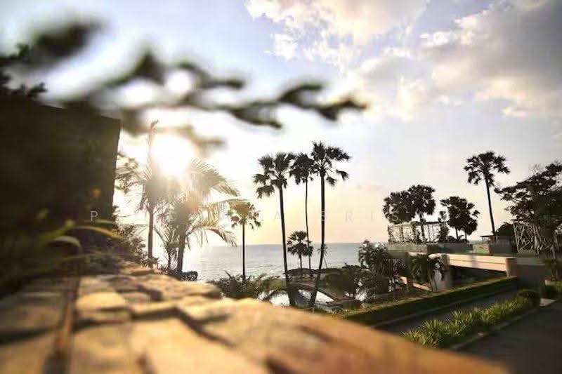 The Palm Wongamat Beach : เดอะ ปาล์ม วงศ์อมาตย์, ชลบุรี, ถนน ซอย นาเกลือ 16, นาเกลือ, บางละมุง, ชลบุรี, 34 ตร.ม., คอนโด ให้เช่า, โดย Patchara Srisak, 500572461 - DDproperty.com