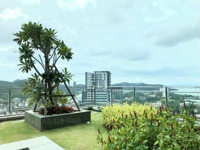 Marina Bayfront Sriracha, Chon Buri (Pattaya), 212 Jerm Jom Phon Road, Si Racha, Chon Buri (Pattaya), 1 Bedroom, 42 sqm, Condo For Rent, by Patchara Srisak, 500572524 - DDproperty.com
