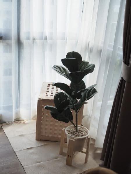KAVE Town Space, Pathum Thani, 34/63 Phaholyothin Road, Khlong Nung, Khlong Luang, Pathum Thani, 1 Bedroom, 24 sqm, Condo For Sale, by ศริญาภัสร์ กิตติสิทธิ์ภาคิน, 500572560 - DDproperty.com