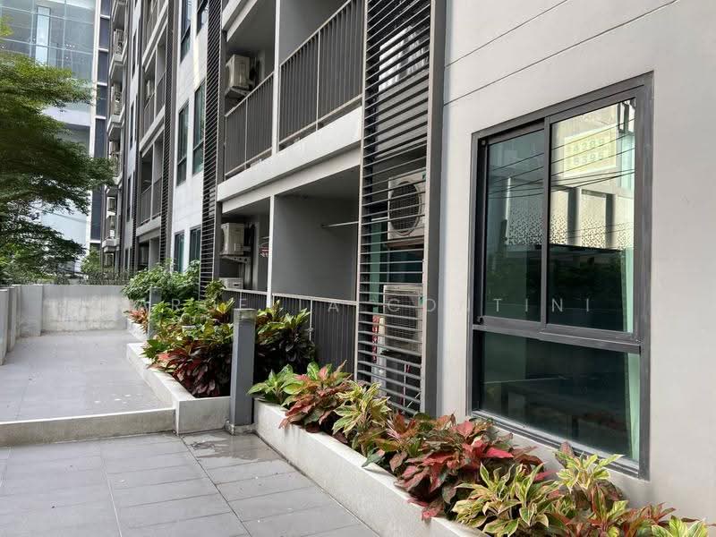 The President Sukhumvit 81, Bangkok, Soi Sukhumvit 81, Sukhumvit Road, Phra Kanong Nua, Watthana, Bangkok, 1 Bedroom, 36 sqm, Condo For Rent, by Marcella Contini, 500572583 - DDproperty.com