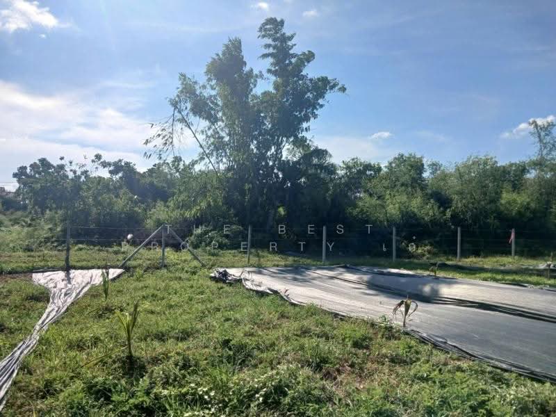 ที่ดินในเมือง นครราชสีมา, Nakhon Ratchasima, Nai Muang, Muang Nakhon Ratchasima, Nakhon Ratchasima, , 2,668 sqm, Land For Sale, by The Best Property เก๋, 500572587 - DDproperty.com