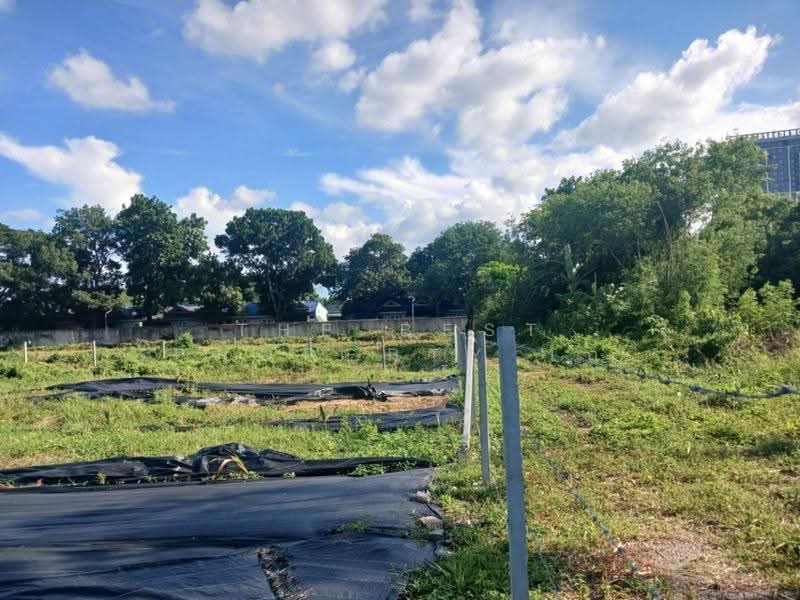 ที่ดินในเมือง นครราชสีมา, Nakhon Ratchasima, Nai Muang, Muang Nakhon Ratchasima, Nakhon Ratchasima, , 2,668 sqm, Land For Sale, by The Best Property เก๋, 500572587 - DDproperty.com