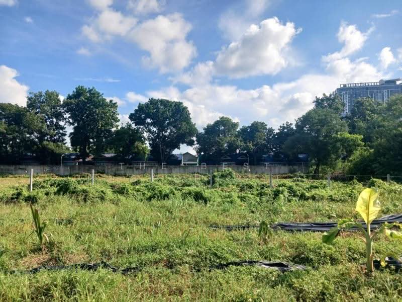 ที่ดินในเมือง นครราชสีมา, Nakhon Ratchasima, Nai Muang, Muang Nakhon Ratchasima, Nakhon Ratchasima, , 2,668 sqm, Land For Sale, by The Best Property เก๋, 500572587 - DDproperty.com