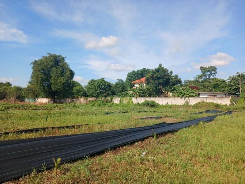 ที่ดินในเมือง นครราชสีมา, Nakhon Ratchasima, Nai Muang, Muang Nakhon Ratchasima, Nakhon Ratchasima, , 2,668 sqm, Land For Sale, by The Best Property เก๋, 500572587 - DDproperty.com