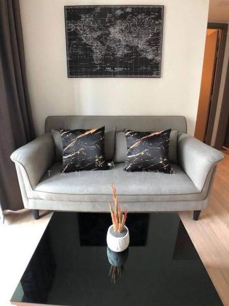 Taka Haus, Bangkok, 99 Soi Ekamai 10, Khlong Tan Nua, Watthana, Bangkok, 1 Bedroom, 44 sqm, Condo For Rent, by Nat Tantirapan, 500572726 - DDproperty.com