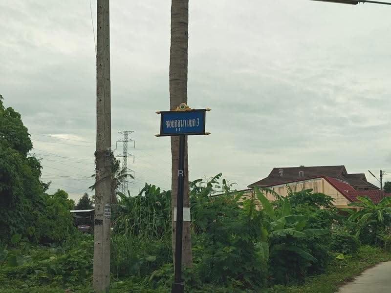 หมู่บ้านกุสุมา นครศรีธรรมราช, Nakhon Si Thammarat, Na San, Phra Phrom, Nakhon Si Thammarat, 2 Bedrooms, 150 sqm, Townhouse For Sale, by The Best Property พริก, 500572732 - DDproperty.com