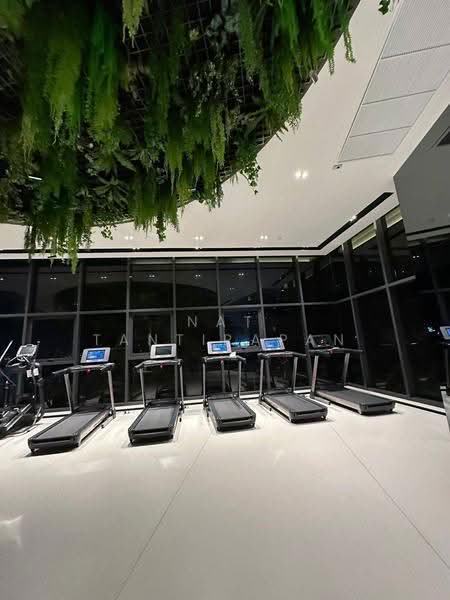 IDEO Sukhumvit Rama 4, bangkok, Soi Sukhumvit 44, Sukhumvit Road, Phra Kanong, Khlong Toei, Bangkok, 1 Bedroom, 44 sqm, Condo For Sale, by Nat Tantirapan, 500572748 - DDproperty.com