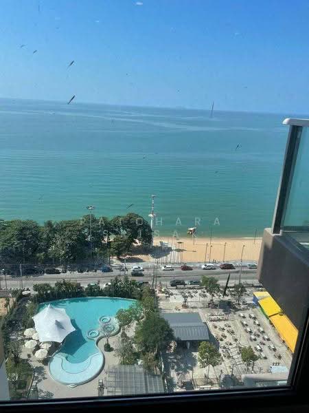 Copacabana Beach Jomtien : โคปาคาบาน่า บีช จอมเทียน, ชลบุรี, ตำบลหนองปรือ อำเภอบางละมุง ชลบุรี, หนองปรือ, บางละมุง, ชลบุรี, 29 ตร.ม., คอนโด ให้เช่า, โดย Patchara Srisak, 500572781 - DDproperty.com