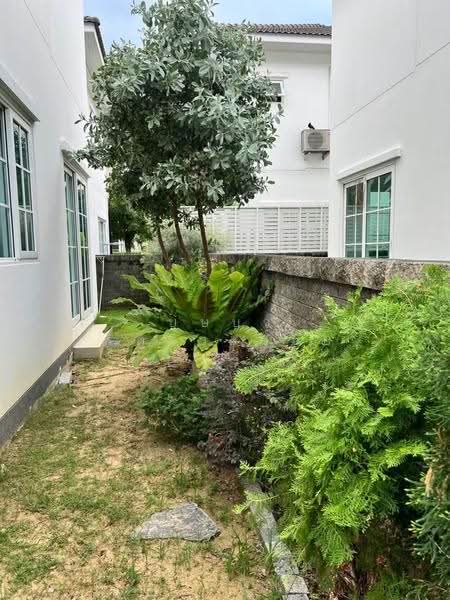 Golden Neo Bangna-Suan Luang, Bangkok, Bangna-Trad Road + Expressway, Dok Mai, Prawet, Bangkok, 4 Bedrooms, 151 sqm, Single Detached House For Rent, by บุษบา รัตนวงษ์ชัย, 500573187 - DDproperty.com
