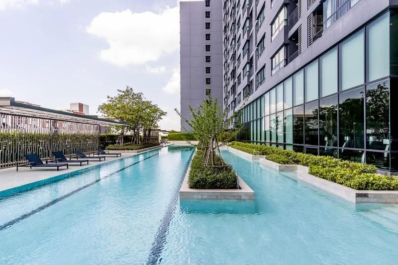 IDEO Sukhumvit 93 : ไอดีโอ สุขุมวิท 93, กรุงเทพ, 2331 ซอยสุขุมวิท 93, บางจาก, พระโขนง, กรุงเทพ, 32 ตร.ม., คอนโด ให้เช่า, โดย Win Chan, 500573362 - DDproperty.com