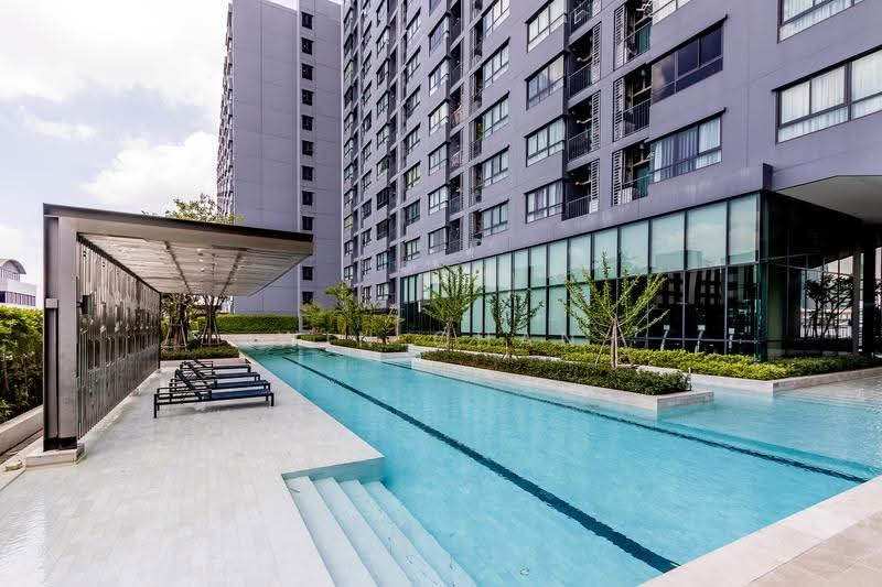 IDEO Sukhumvit 93, bangkok, 2331 Soi Sukhumvit 93, Bang Chak, Phra Khanong, Bangkok, 1 Bedroom, 32 sqm, Condo For Rent, by Win Chan, 500573362 - DDproperty.com