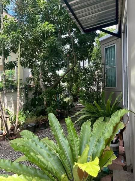 Pruklada Bangna, Samut Prakan, Bangna-Trad Rd., Bang Bo, Samut Prakan, 3 Bedrooms, 21 sqm, Single Detached House For Sale, by Connex Property, 500573381 - DDproperty.com