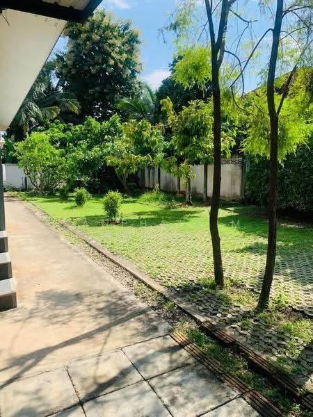 บ้านนอกโครงการ ให้เช่าทำเลดี แม่เหียะ, เชียงใหม่, แม่เหียะ, เมืองเชียงใหม่, เชียงใหม่, 112 ตร.ม., บ้านเดี่ยว ให้เช่า, โดย Kanphakpim Chiangmai Nice Home, 500573386 - DDproperty.com