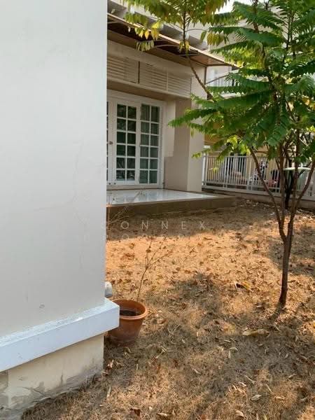 Areeya Busaba Ladprao : อารียา บุษบา ลาดพร้าว, กรุงเทพ, พลับพลา, วังทองหลาง, กรุงเทพ, 240 ตร.ม., บ้านเดี่ยว ขาย, โดย Connex Property, 500573397 - DDproperty.com