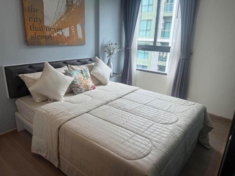 Zcape 3, Phuket, Thep Krasattri Road, Wichit, Muang Phuket, Phuket, 1 Bedroom, 28 sqm, Condo For Rent, by Connex Property, 500573467 - DDproperty.com