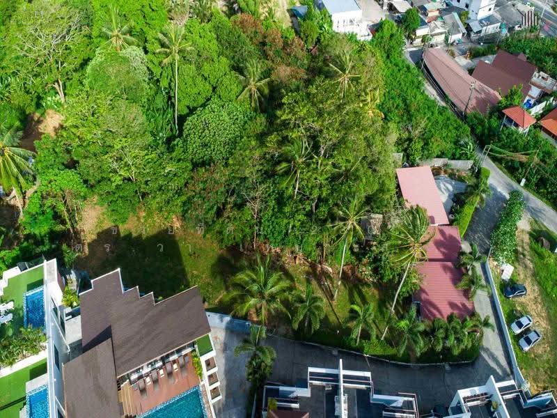 ถนนปฎัก ซอย 2 ตำบลกะรน อำเภอเมือง ภูเก็ต, Phuket, Karon, Muang Phuket, Phuket, , 920 sqm, Land For Sale, by คุณริช, 500573478 - DDproperty.com