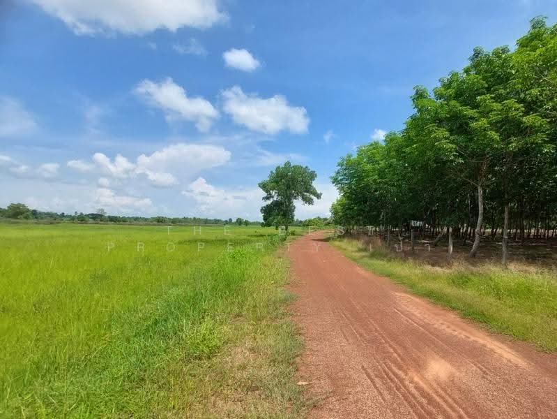 ที่ดินเพ็ญ อุดรธานี, อุดรธานี, จอมศรี, เพ็ญ, อุดรธานี, 30,932 ตร.ม., ที่ดิน ขาย, โดย The Best Property เป้า, 500573485 - DDproperty.com