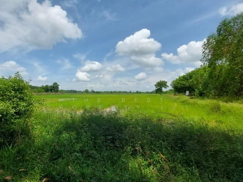 ที่ดินเพ็ญ อุดรธานี, udon-thani, Chom Sri, Phen, Udon Thani, , 30,932 sqm, Land For Sale, by The Best Property เป้า, 500573485 - DDproperty.com