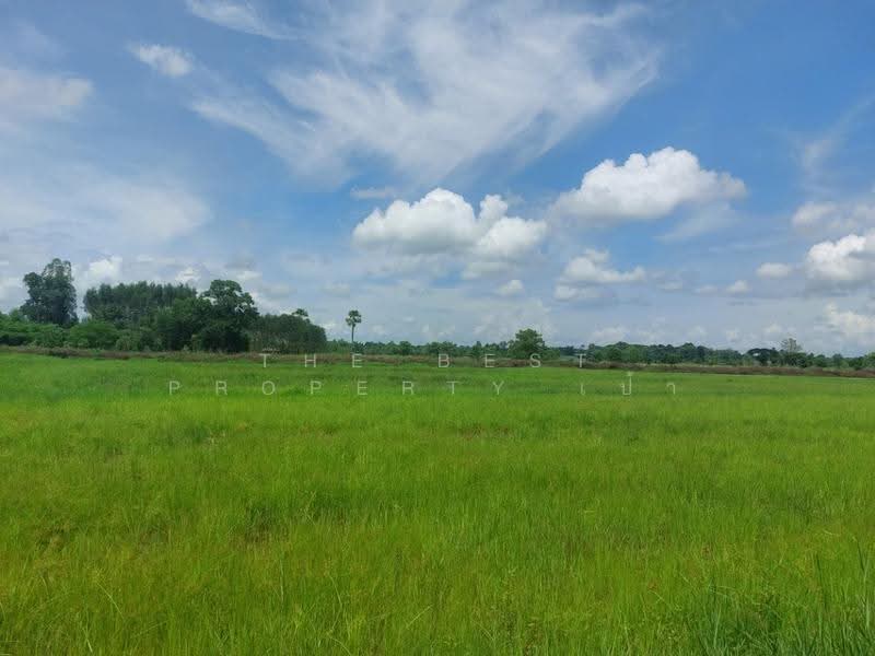 ที่ดินเพ็ญ อุดรธานี, อุดรธานี, จอมศรี, เพ็ญ, อุดรธานี, 30,932 ตร.ม., ที่ดิน ขาย, โดย The Best Property เป้า, 500573485 - DDproperty.com